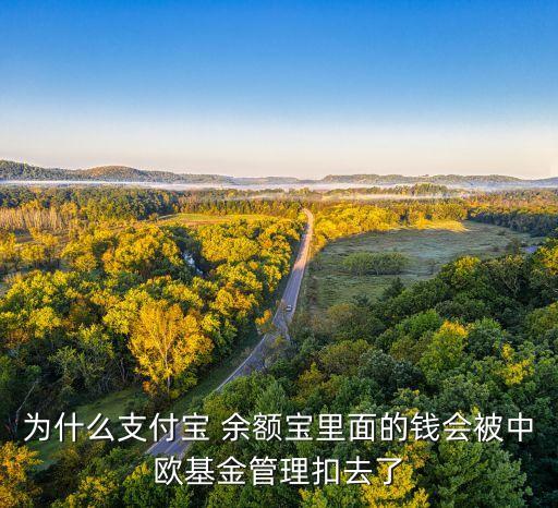 為什么支付寶 余額寶里面的錢(qián)會(huì)被中歐基金管理扣去了