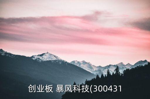 暴風(fēng)影音股票價(jià)格