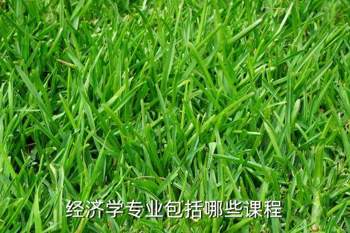 陳志武北京大學(xué)