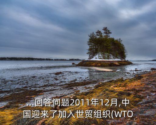 ...回答問(wèn)題2011年12月,中國(guó)迎來(lái)了加入世貿(mào)組織(WTO