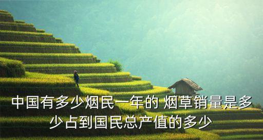 中國(guó)有多少煙民一年的 煙草銷量是多少占到國(guó)民總產(chǎn)值的多少
