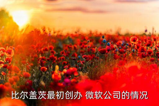 比爾蓋茨最初創(chuàng)辦 微軟公司的情況