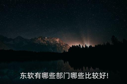  東軟有哪些部門哪些比較好!