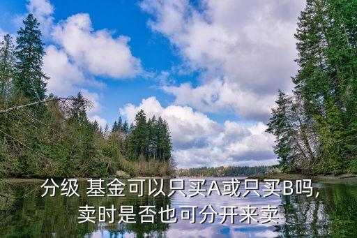  分級(jí) 基金可以只買A或只買B嗎,賣時(shí)是否也可分開來賣