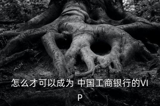 中國(guó)工商銀行貴賓卡