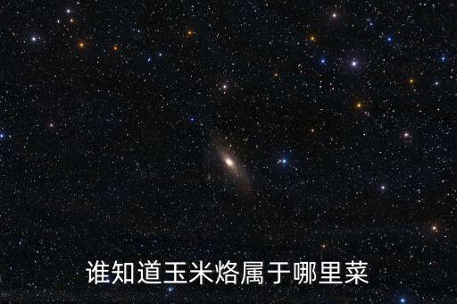 上海米盛化工材料,上?；げ牧吓l(fā)市場(chǎng)