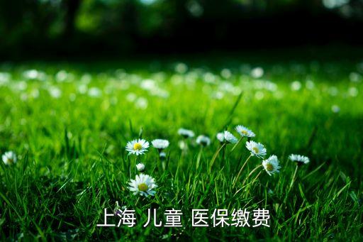  上海 兒童 醫(yī)保繳費