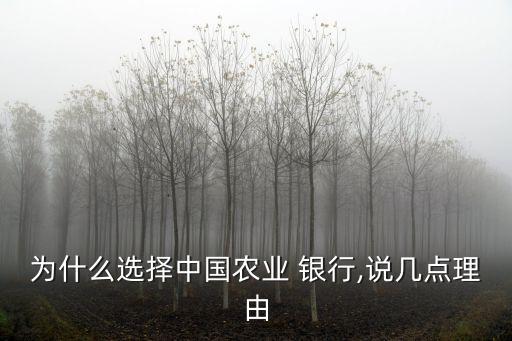 為什么選擇中國(guó)農(nóng)業(yè) 銀行,說幾點(diǎn)理由
