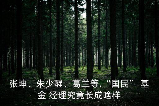 張坤、朱少醒、葛蘭等,“國民” 基金 經(jīng)理究竟長成啥樣