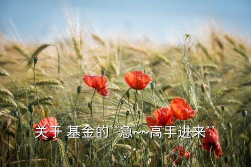 關(guān)于 基金的``急~~高手進(jìn)來```