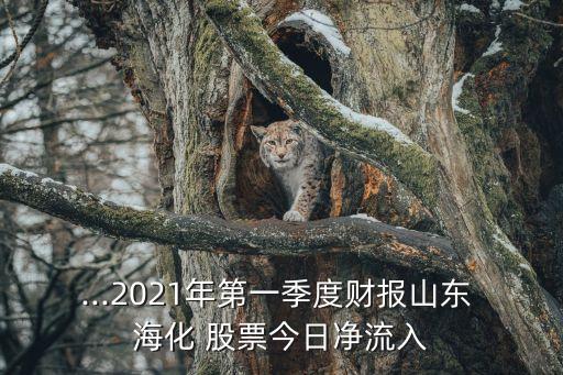 st海化股票,?；善睔v史交易數(shù)據(jù)