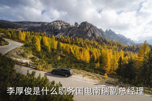 上海置信電氣股份有限公司青浦