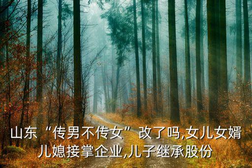 山東“傳男不傳女”改了嗎,女兒女婿兒媳接掌企業(yè),兒子繼承股份