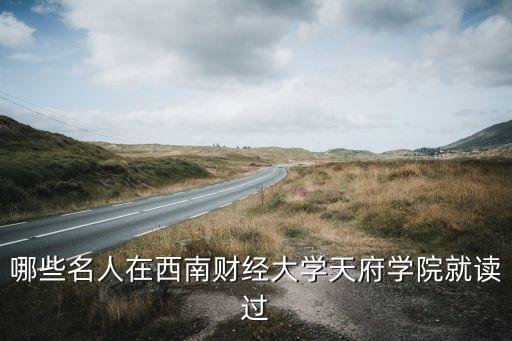 張良公司總經(jīng)理,國(guó)窖公司總經(jīng)理張良