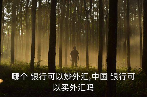 哪個 銀行可以炒外匯,中國 銀行可以買外匯嗎
