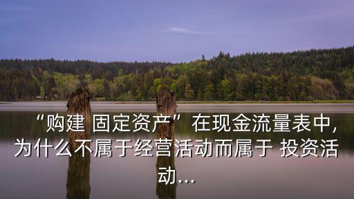 固定資產(chǎn)投資屬于直接投資嗎
