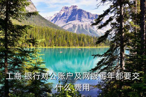 工行手機銀行費用,工行流水手機銀行可以導出嗎