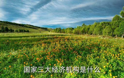 國家三大經(jīng)濟(jì)機(jī)構(gòu)是什么