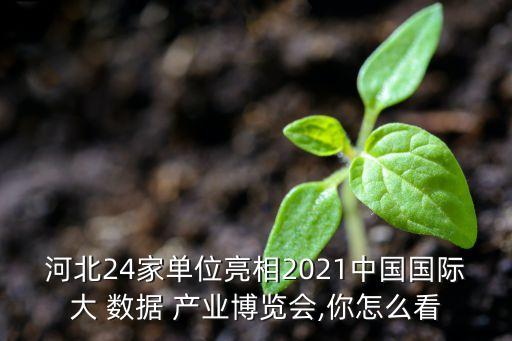 河北24家單位亮相2021中國國際大 數(shù)據(jù) 產(chǎn)業(yè)博覽會,你怎么看