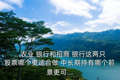 ...農(nóng)業(yè) 銀行和招商 銀行這兩只股票哪個更適合做 中長期持有哪個前景更可...