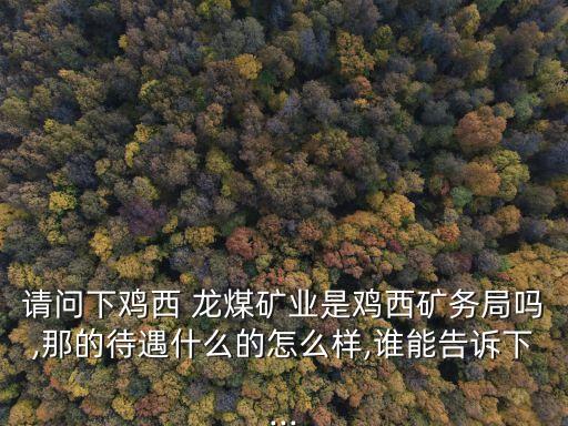 請問下雞西 龍煤礦業(yè)是雞西礦務局嗎,那的待遇什么的怎么樣,誰能告訴下...