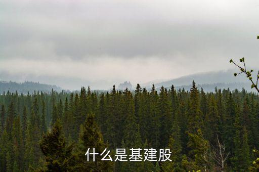 什么是基建股