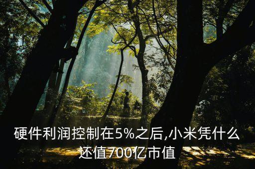 硬件利潤(rùn)控制在5%之后,小米憑什么還值700億市值
