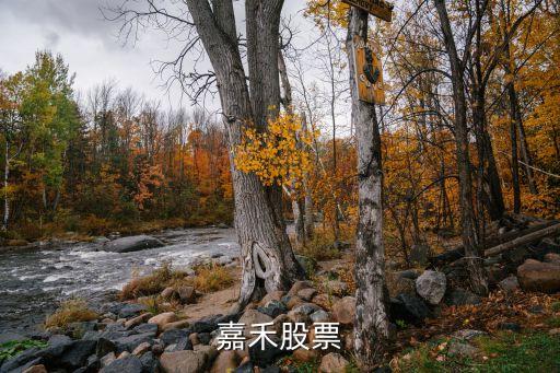橙天嘉禾股票