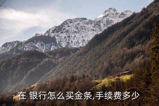 去銀行買黃金