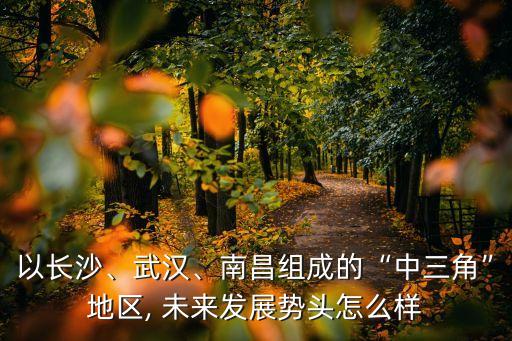 中國(guó)未來(lái)十大城市群,全球十大城市群