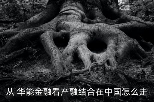 華能碳資產經營有限公司