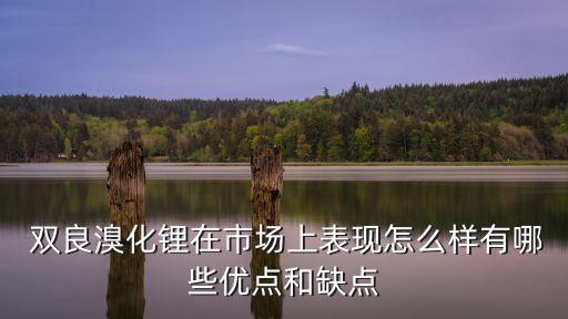  雙良溴化鋰在市場上表現(xiàn)怎么樣有哪些優(yōu)點(diǎn)和缺點(diǎn)