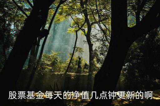 股票基金每天的凈值幾點(diǎn)鐘更新的啊