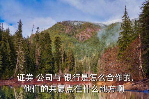  證券 公司與 銀行是怎么合作的,他們的共贏點在什么地方啊