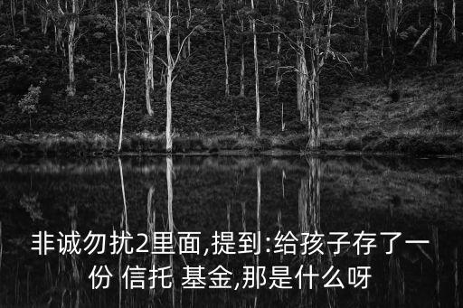 非誠(chéng)勿擾2里面,提到:給孩子存了一份 信托 基金,那是什么呀