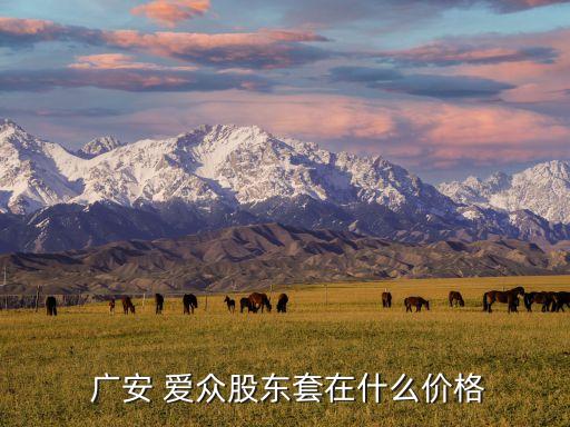  廣安 愛眾股東套在什么價格