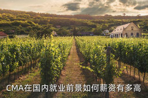 CMA在國(guó)內(nèi)就業(yè)前景如何薪資有多高