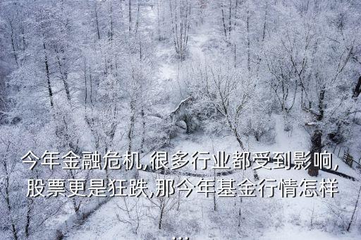 今年金融危機,很多行業(yè)都受到影響, 股票更是狂跌,那今年基金行情怎樣...