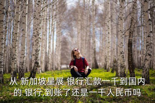 從 新加坡星展 銀行匯款一千到國(guó)內(nèi)的 銀行,到賬了還是一千人民幣嗎
