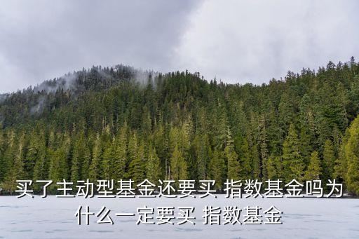 買了主動型基金還要買 指數(shù)基金嗎為什么一定要買 指數(shù)基金
