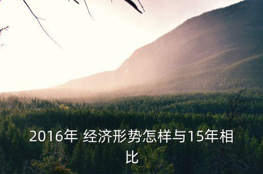 2016年 經(jīng)濟(jì)形勢怎樣與15年相比
