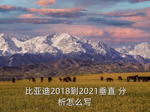  比亞迪2018到2021垂直 分析怎么寫