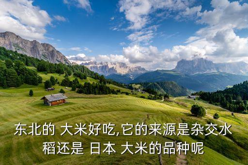 東北的 大米好吃,它的來(lái)源是雜交水稻還是 日本 大米的品種呢