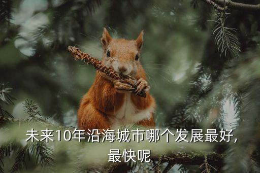  未來10年沿海城市哪個發(fā)展最好,最快呢