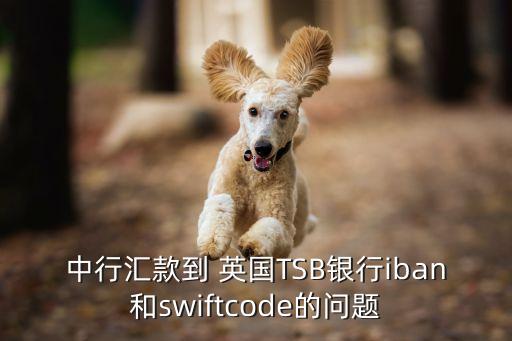 中行匯款到 英國TSB銀行iban和swiftcode的問題