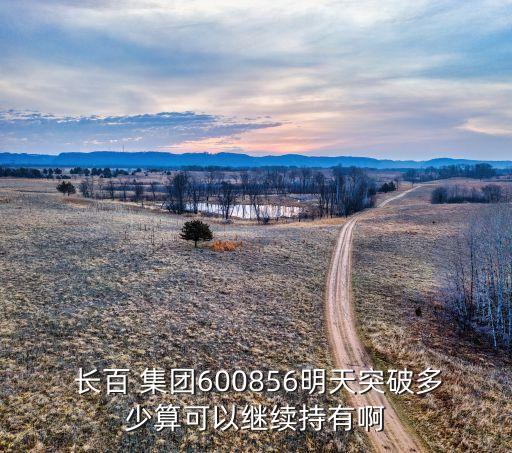長百集團(tuán)