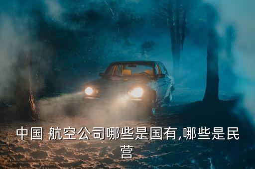 中國(guó) 航空公司哪些是國(guó)有,哪些是民營(yíng)