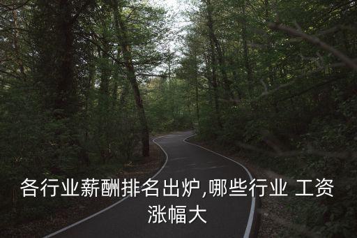 各行業(yè)薪酬排名出爐,哪些行業(yè) 工資漲幅大