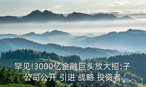 引進(jìn)戰(zhàn)略投資者的混合制改革