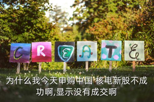 為什么我今天申購中國 核電新股不成功啊,顯示沒有成交啊